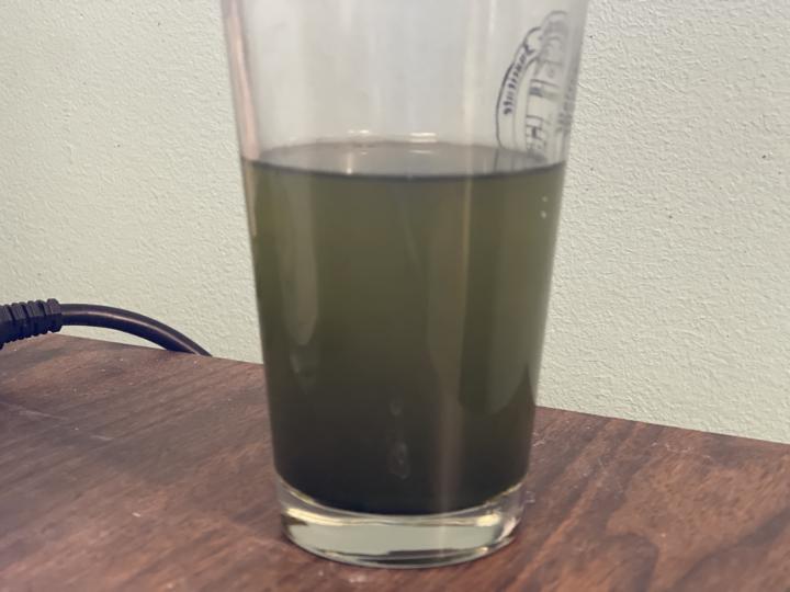 Initiation of the Greenification