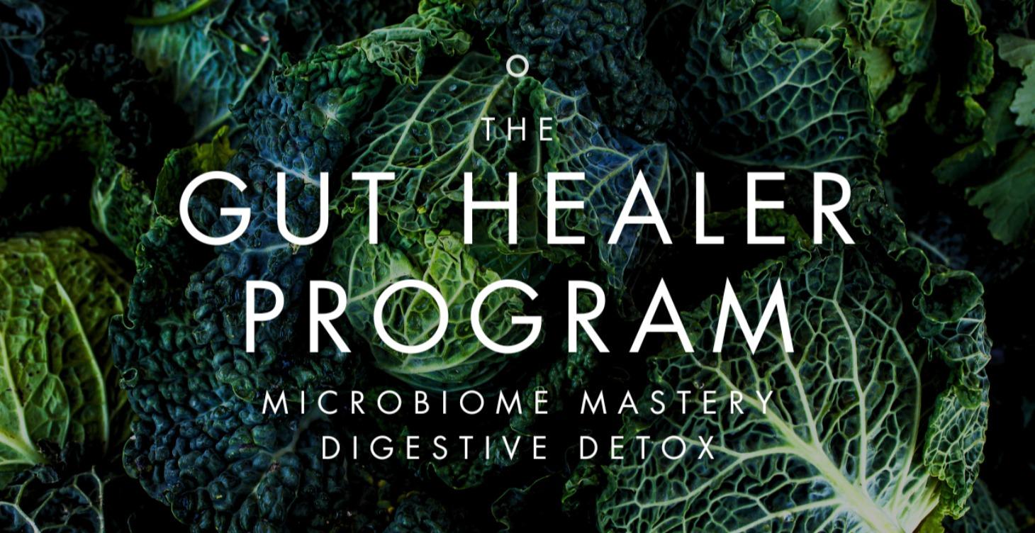 🧪 The Gut Healer Protocol