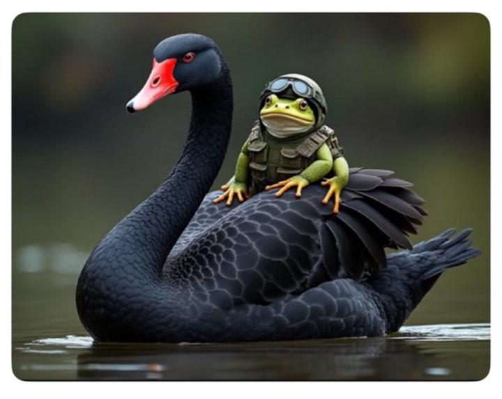 Goal: 🦢 let’s be the “black swan” event for wellness