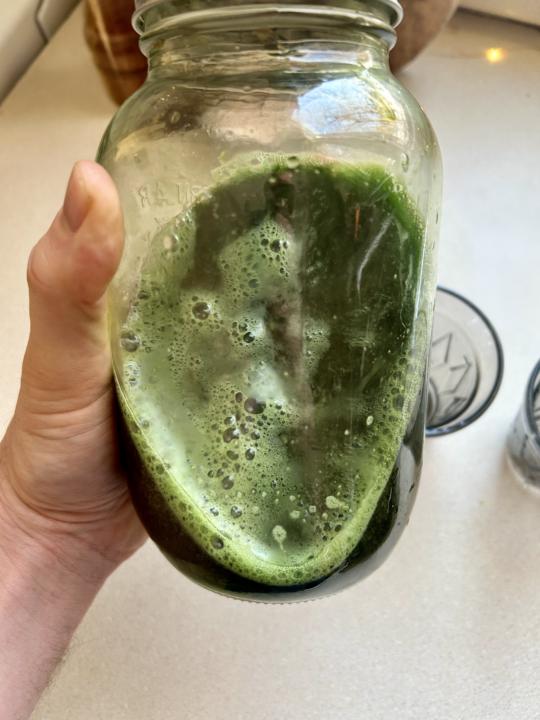 I call this green mana: “The Astronaut” 🧑🏼‍🚀 🌾