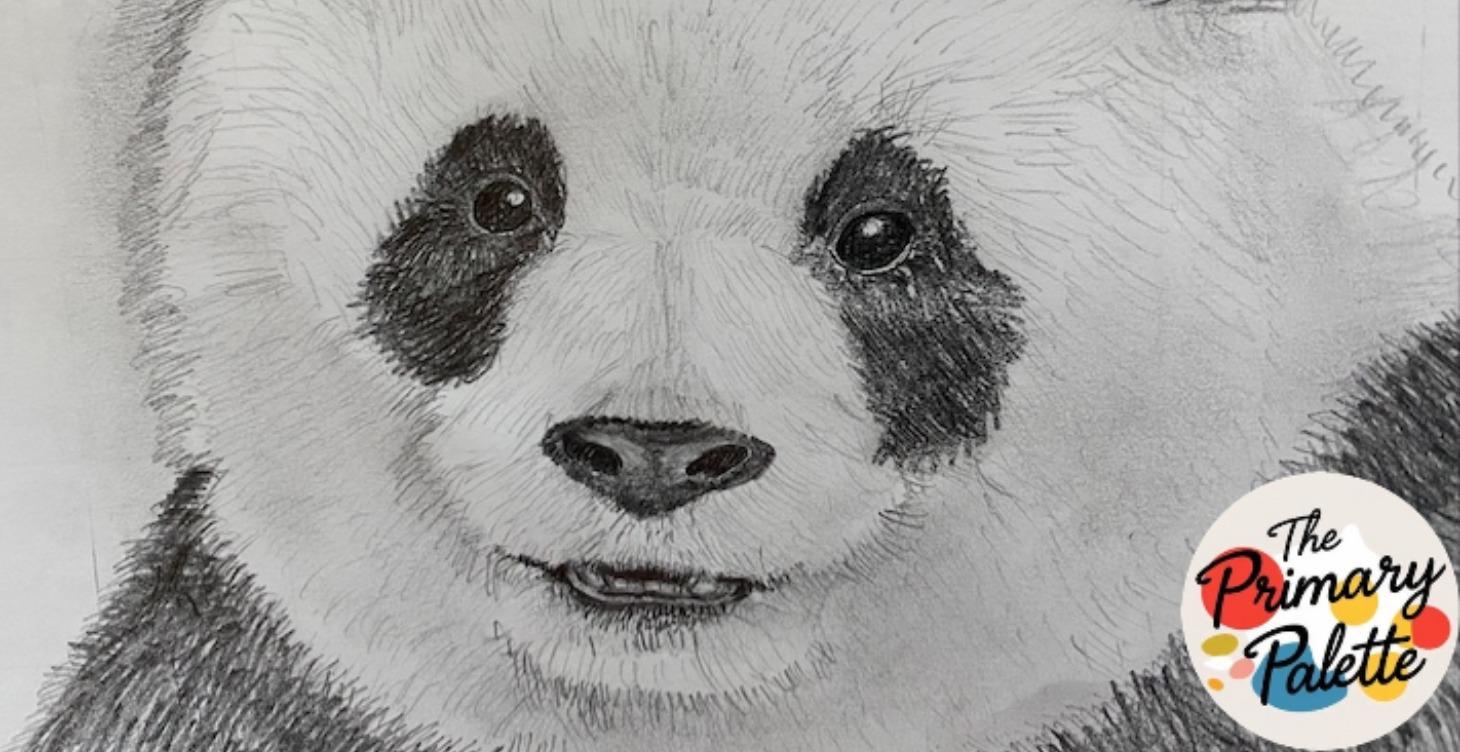 Beginner Drawing: Favorite Animal Grid Drawing