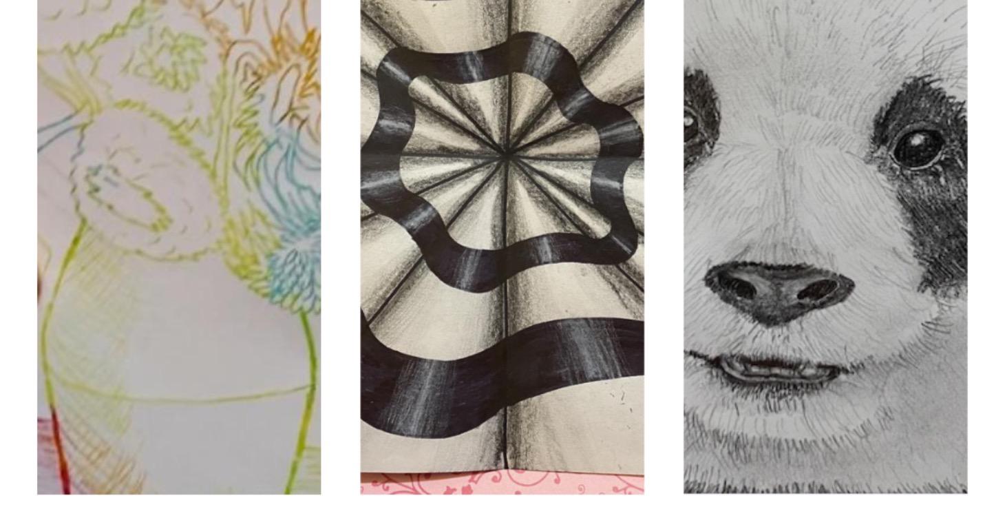 Beginner Drawing Lessons
