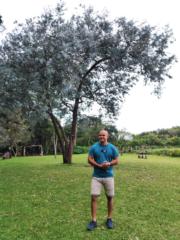 Marco Quirós
