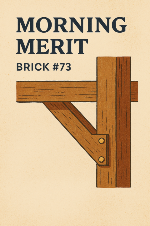 🌤 Morning Merit | Brick #73 | Reinforce the Weak Spots