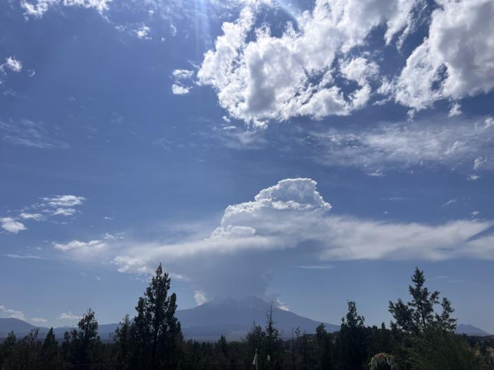 Live Mount Shasta Gratitude Session Today!