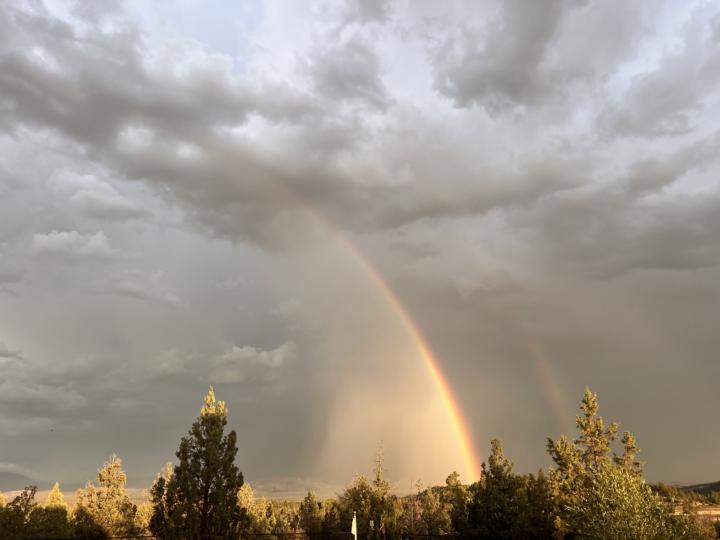 Channeling Rainbow Light