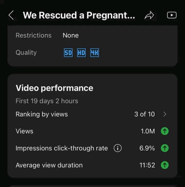 YouTube Automation business model 