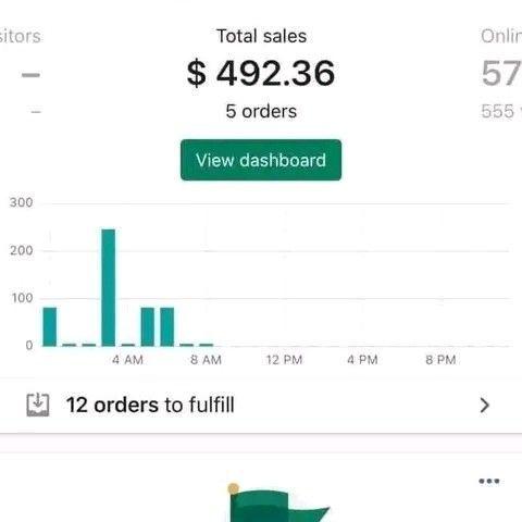 Dropshipping Isn't a Scam: My First Real Sales Story