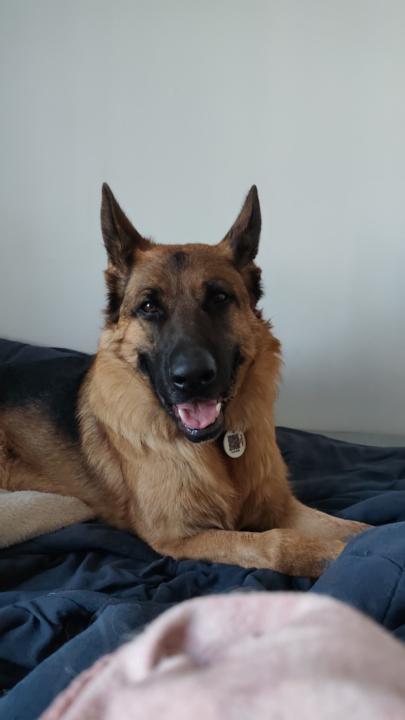 Maria Alejandra Cumare Sanchez