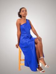 Michena Raymond