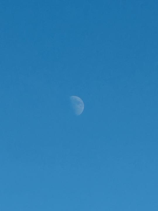 Osmaro Ramírez Ramírez