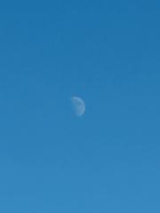 Osmaro Ramírez Ramírez