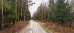 Illia Trunov