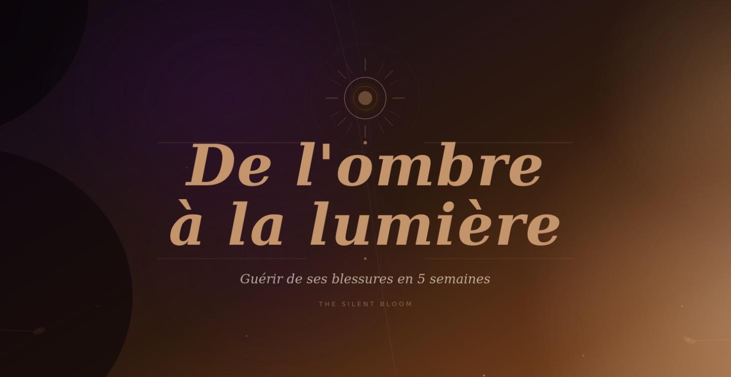 De l'ombre à la lumière ✨