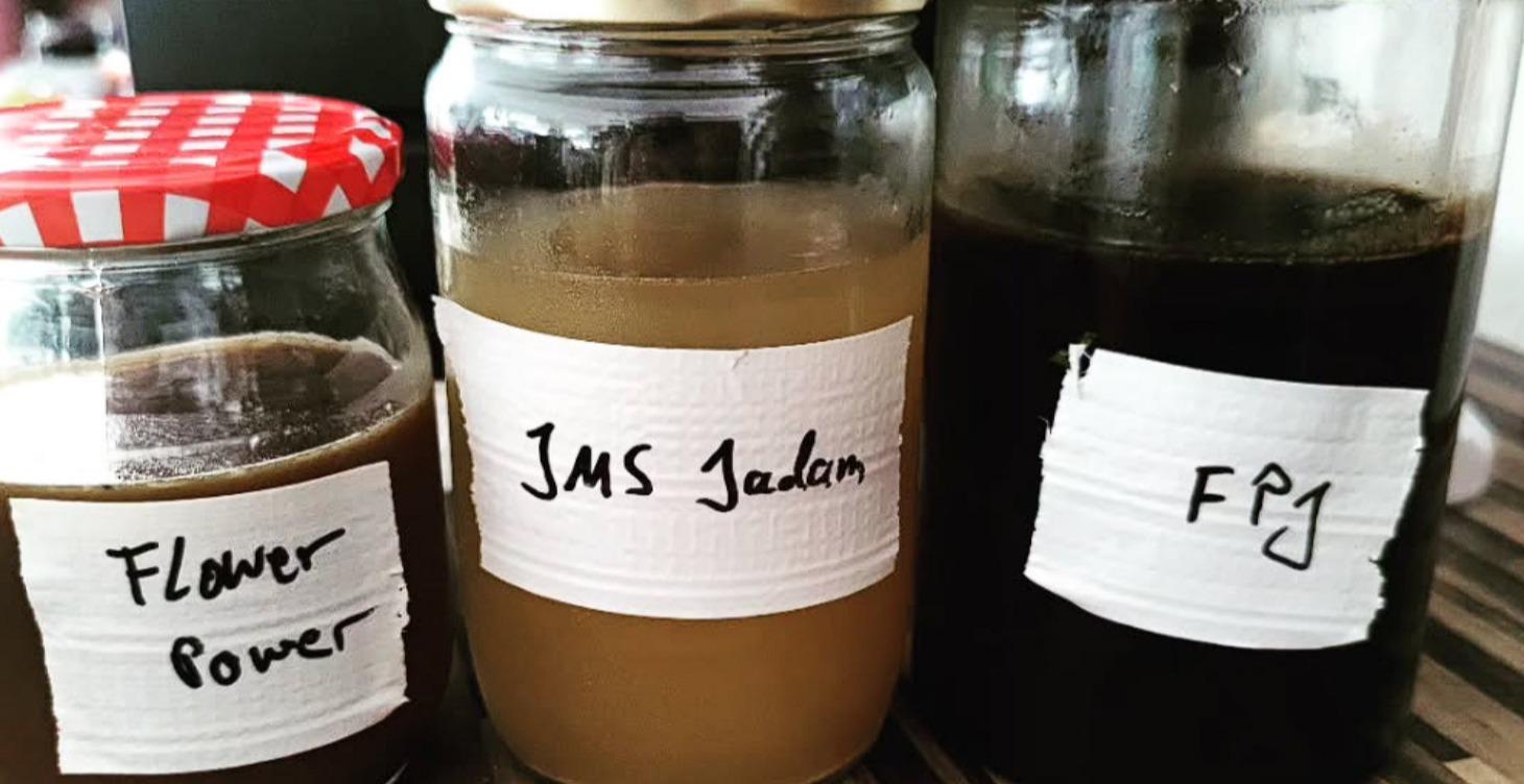 Fermentation & Pflanzenstärkung