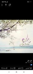 اسيل جبر