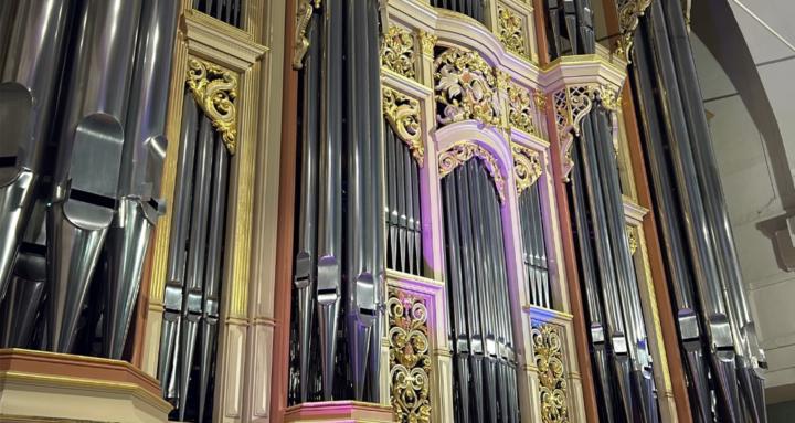 Organ and church concerts