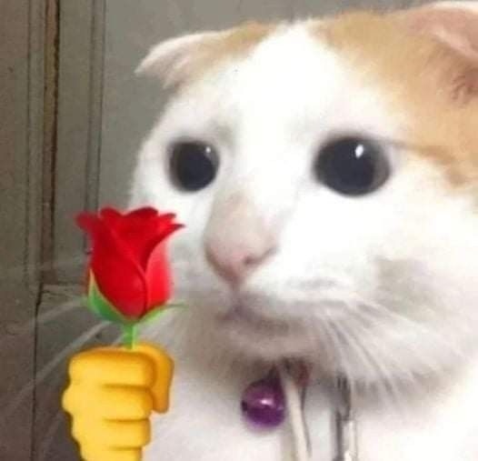 May Flor
