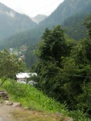 Rizwana Shaheen