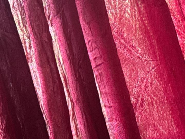 Claudette Save Lafaele