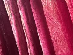 Claudette Save Lafaele