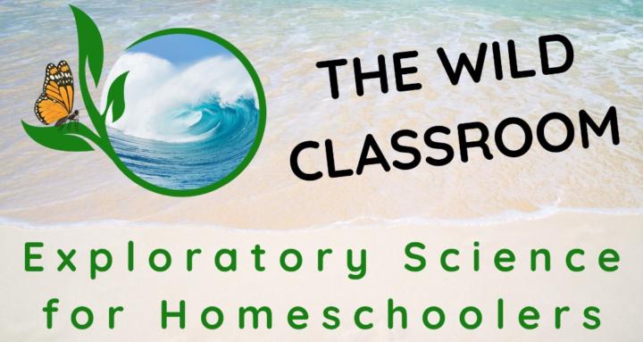 The Wild Classroom