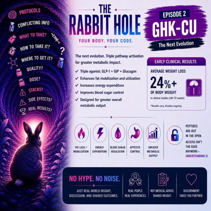 The Rabbit Hole 