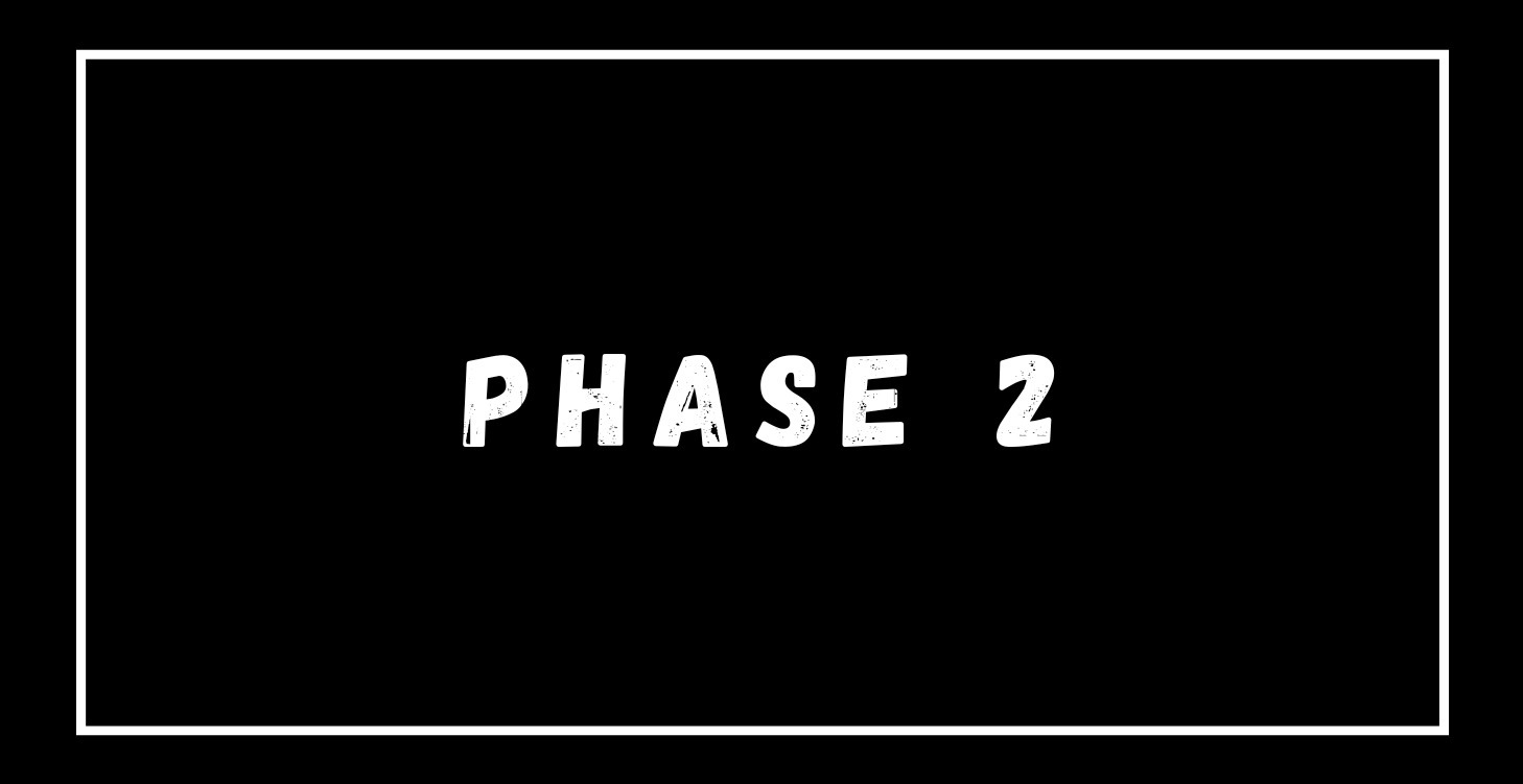 🎯 Phase 2 (Day 16-30)