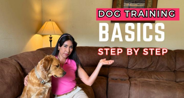 Dog Training Basics with Nancy
