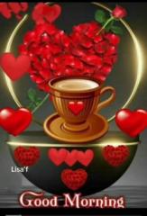 Sadaf Hamid