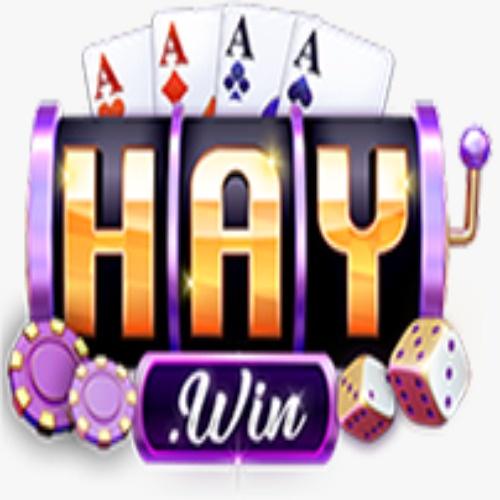 Haywin Group