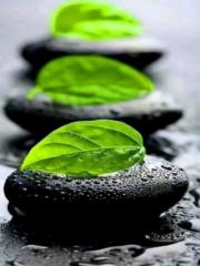 يونس عبدالسلام قايد صالح الفقية