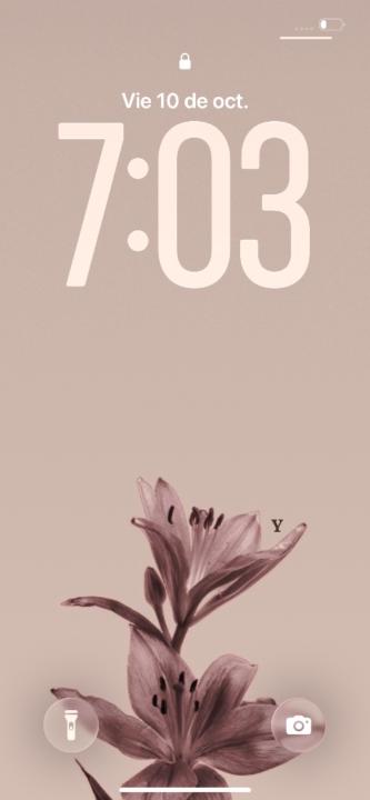 Valeria Dueñas Montañez