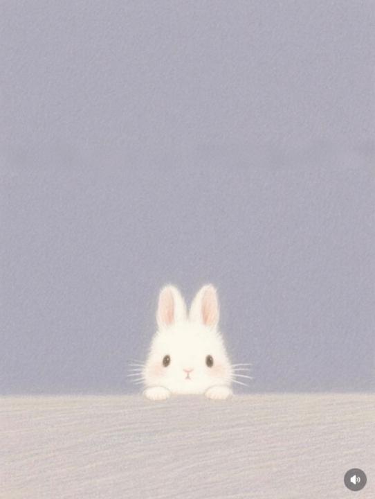 X Soo