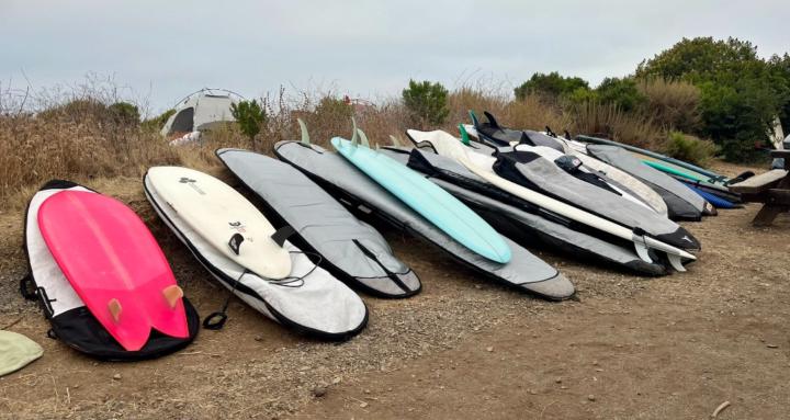 Surfaholics Anonymous