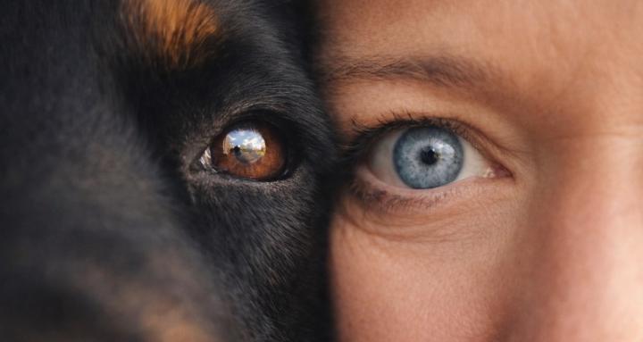 Christina's Canine Care Center