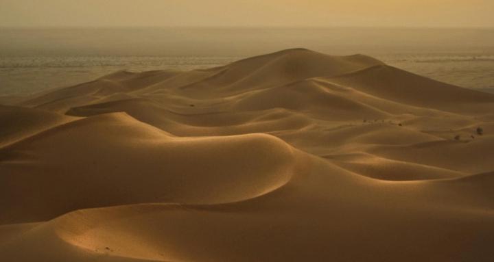 Les femmes éveillées