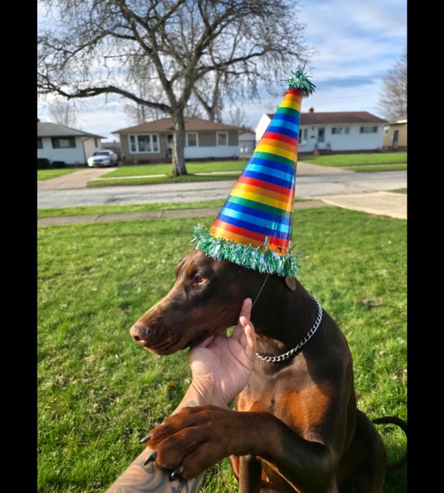 C Martin