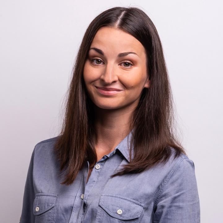 Aneta Hemerová - Handlíř