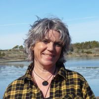Ingunn Alstad