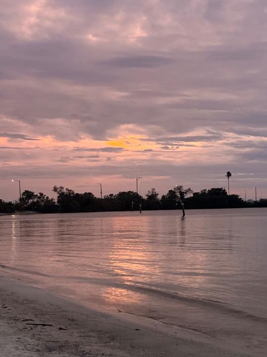 Cherish fulcher Alicia