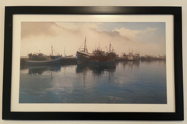 📷🌿 A Weekend That Slowed Me Down 🌿📷