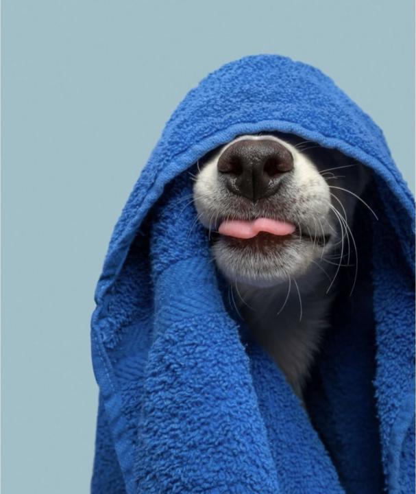 Where Real Marketing Begins