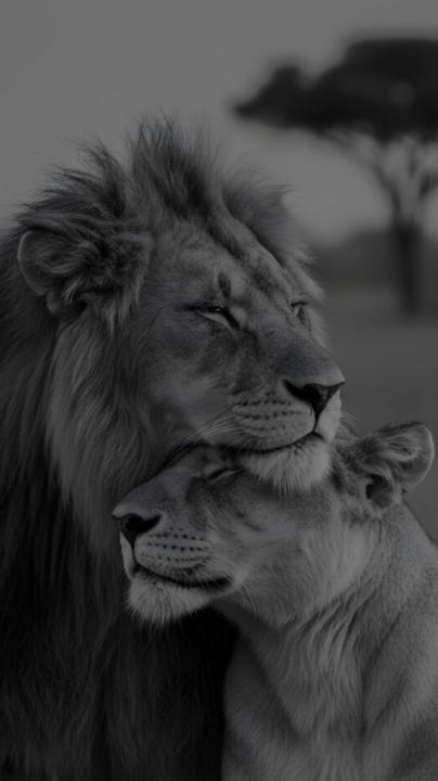 Faceless Theme Pages