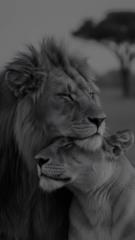 Faceless Theme Pages