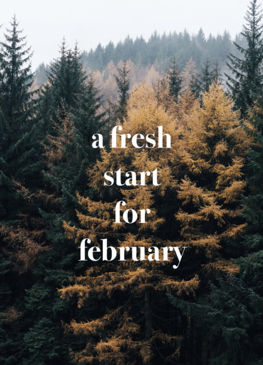 February Fresh Starts 🌱