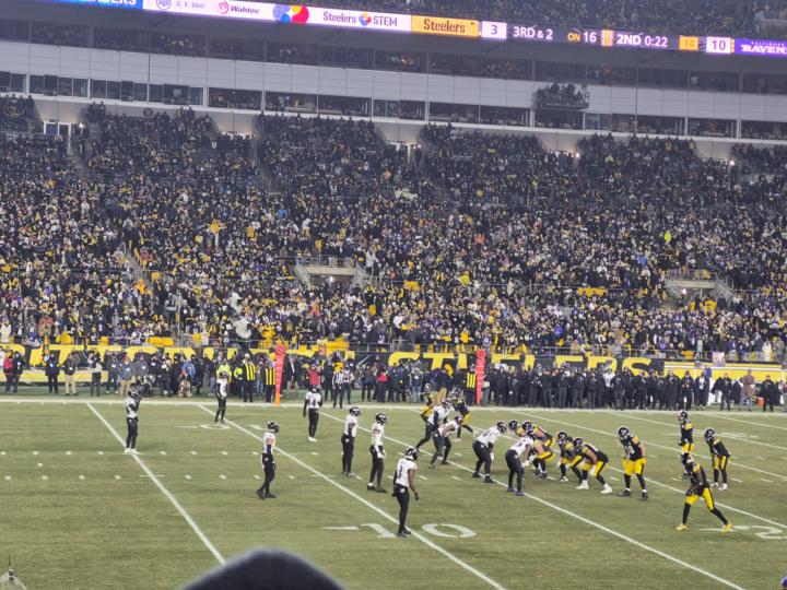 Anyone a Steeler fans?