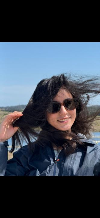 Azin Barak