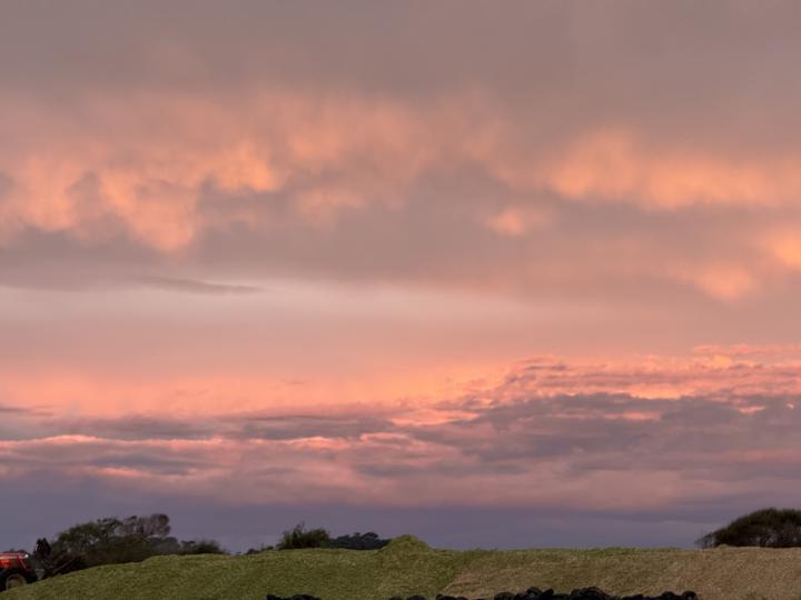 important Notice: Skool Downtime