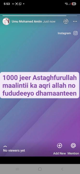 Ifrah Abdillahi